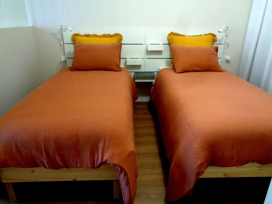 Appartement Hestia F1 Bis + Terrasse Hyper Centre Лон-ле-Соньє Екстер'єр фото