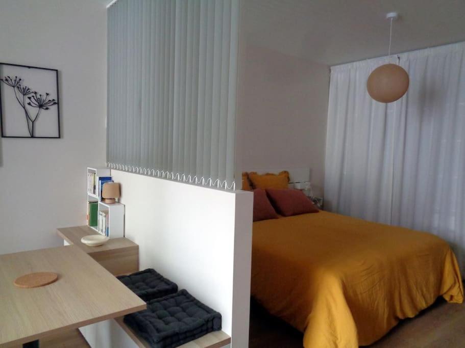 Appartement Hestia F1 Bis + Terrasse Hyper Centre Лон-ле-Соньє Екстер'єр фото